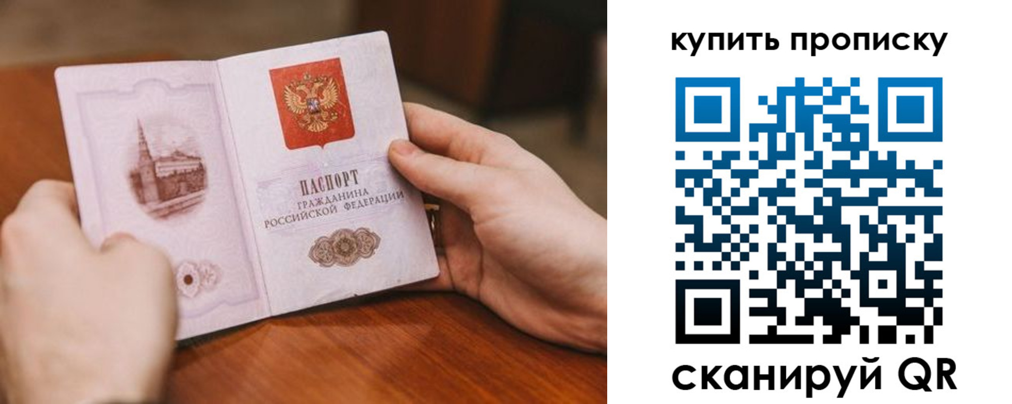 прописка законно в Курской области