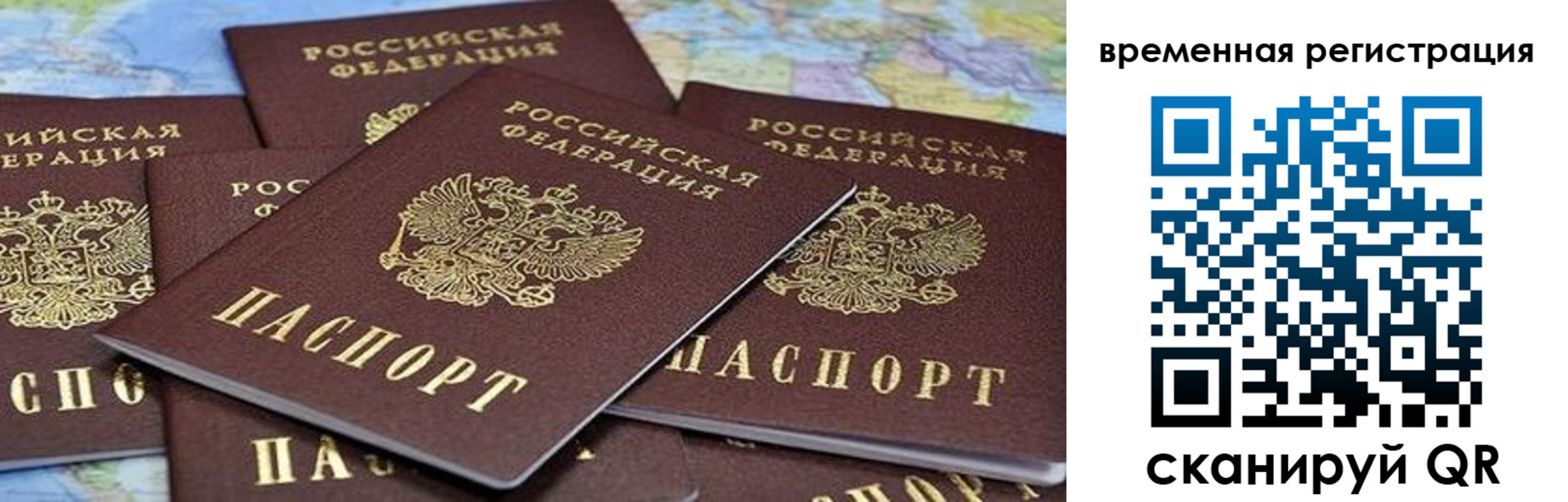 временная регистрация в квартире в Курской области